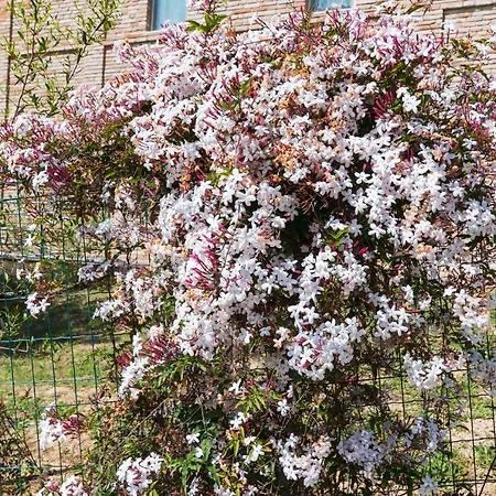 Al Sole Alloggio per agriturismo Loreto
