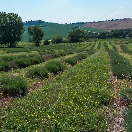 Al Sole Alloggio per agriturismo